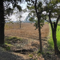 Land For Sale Near Sabaiya Airport