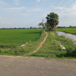 1000 Sqft Residential Plot In Amhara Bihta