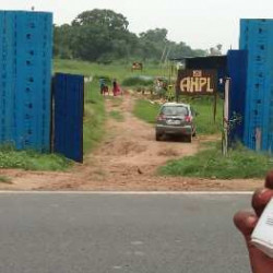 Residential Plot For Sale Near Shiwala