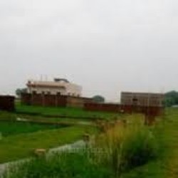 Residential Plot For Lease Near Sakri Darbhanga Highway
