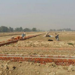 8 Kattha Residential Plot In Bihta @-8lakh-/kattha 