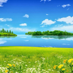 Residential Plot For Sale 