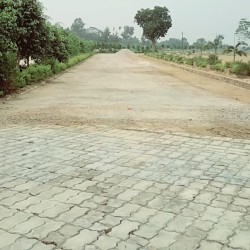 Patna | Muzaffarpur | Sasaram | Gaya | Bhagalpur | Sasaram | Darbhanga | Hajipur | Bihar Sharif | Siwan | Purnia | Chhapra | Begusarai | Arrah | Katihar | Motihari | Aurangabad |