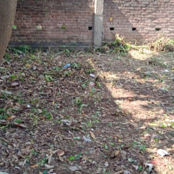 Bhagalpur Morya Colony Near Cold Sorage
