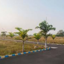 1st Time On Road Plot In Amhara Bihta @-11 Lakh