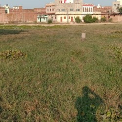 Plot In Kochas, à¤•à¥‹à¤šà¤¸ à¤®à¥‡à¤‚ à¤œà¤®à¥€à¤¨
