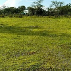Agricultural Land Near Main Road .
