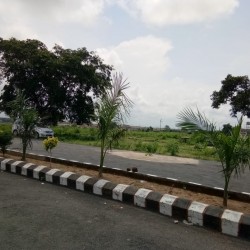 Residential Plot, Sasaram, Near Tarachandi Mandir,