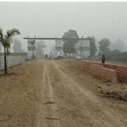 7 Kattha Plot On 18 Ft. Gov. Pain  Residential 