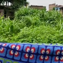 Residential Plot For Sale In Officer Colony Mirchaibadi Katihar.