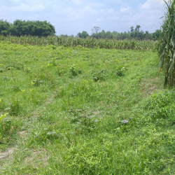 Commercial Plot For Sale Near Chandwa Petrol Pump