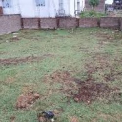 Property Land / Plot Sell Gordhan Shivala Bihta, Main Road, Patna, Bihar 801113