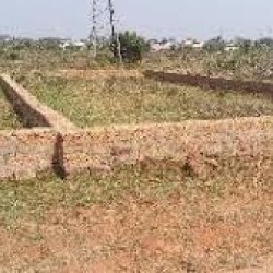 Near Foundation School