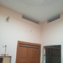 Flat ,room Luxury For Rent 