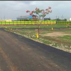 Plot At 1.5 K. M From Ring Road In, Naubatpur 