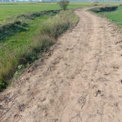Book Your Plot In Bihta Only At@--399-/sq Ft