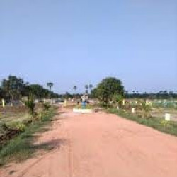 Investment  Plot In Bihta Near Dav Collage On Road Property 20 Road 