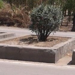 Land For Sell On Gt Road Near Mandanpur Aurangabad Bihar