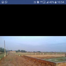 Plot