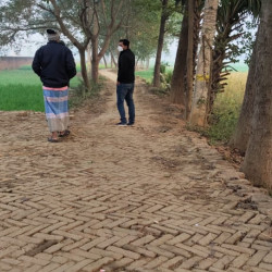 Rs. 23 Lakh -/kattha Plot In Danapur Location 