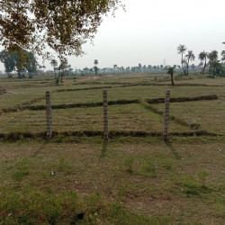 @-rs. 999-/sq Ft,  Pre-launching Offer Price In Bihta -ara Road Site