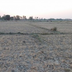 Plot For Sale Near Maharaja Hotel Nh 722 Mehiya Over Bridge Chapra Bihar