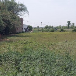 Commercial Land For Rent