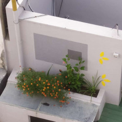 19 Kattha Plot Road =130ft Wide @-3.5lakh
