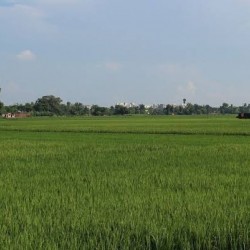Kheti Karne Ka Zameen Sale Ke Liye Hain