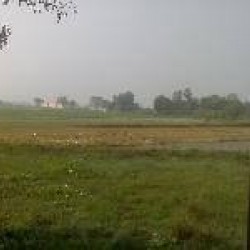 1 Acre Available For Lease On Kamtaul- Jogiara Road (dist- Darbhanga)