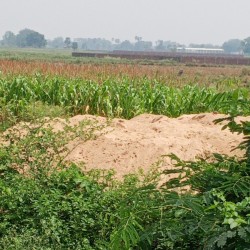 Plot On Highway