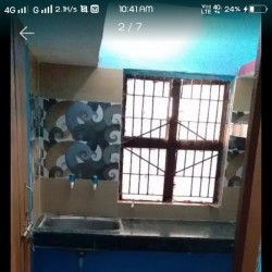 A Beautiful Well Finished Room  Availableon Rent