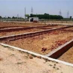 Naubatpur Market Nh 139 Near Dariyapur  Kingfisher Beer Factory 