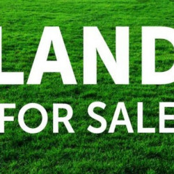 Plot For Sale