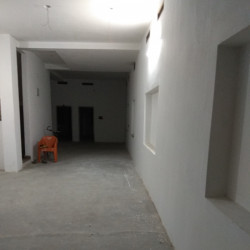 Shoo For Rent