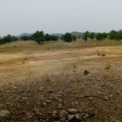 Commercial Land