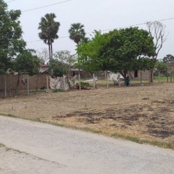 Residential Plot Near Phulwaria Bazar Market