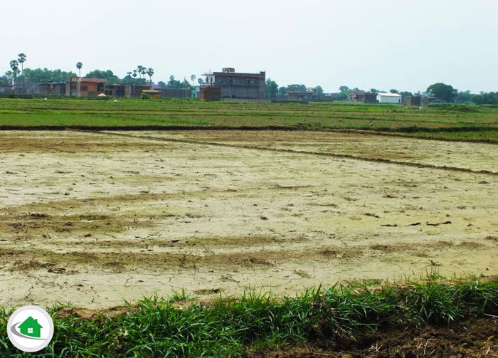 6 Katha Land Plot For Sale In Patna