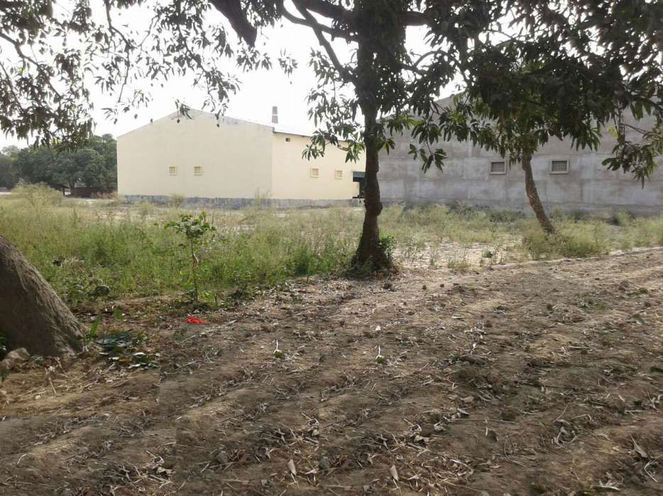 Land available for sale in Baruni
