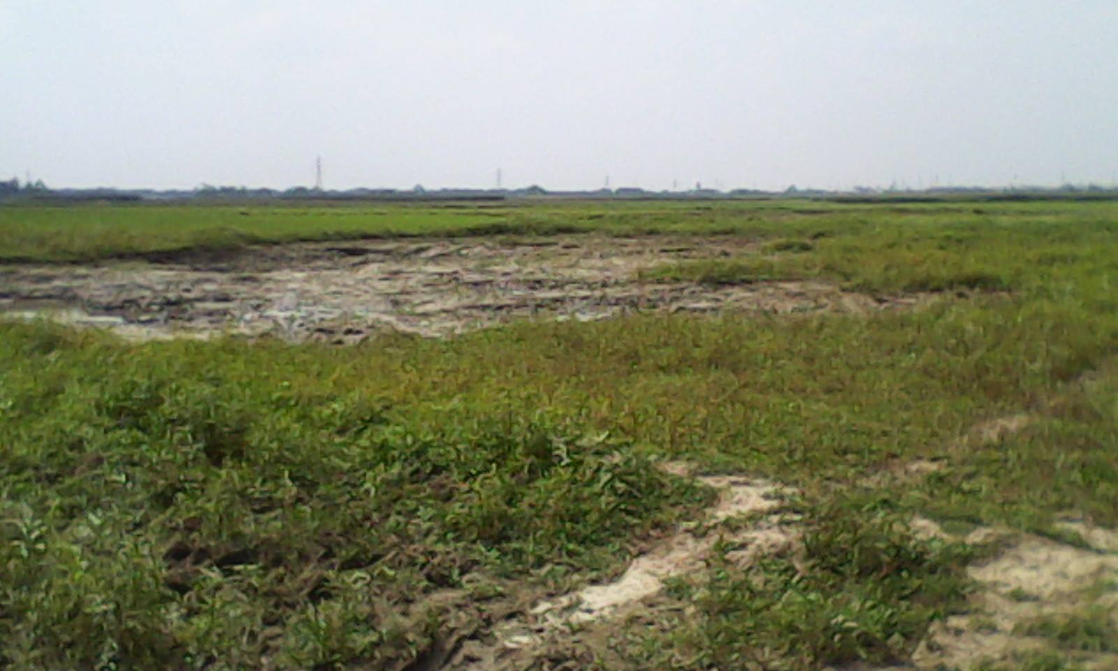 Commercial and Residential Plot for Sale in Araria