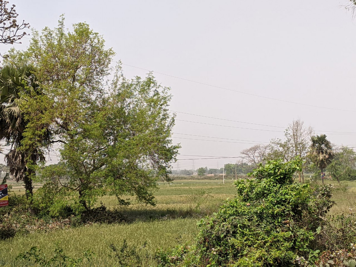 Commercial And Residential Both Are Available In Bihta Near Nh 139