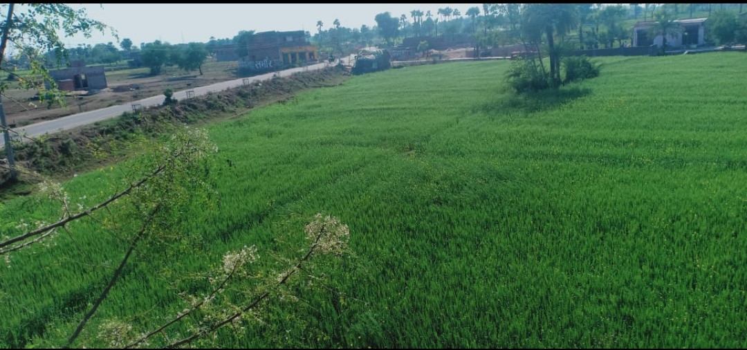 Land On Sale On Domuhan Cherki Road Bodhgaya Facing Roadside Near Magadh University 