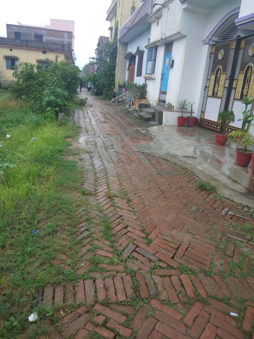 Residential Plot In Bariya Muzzpharpur