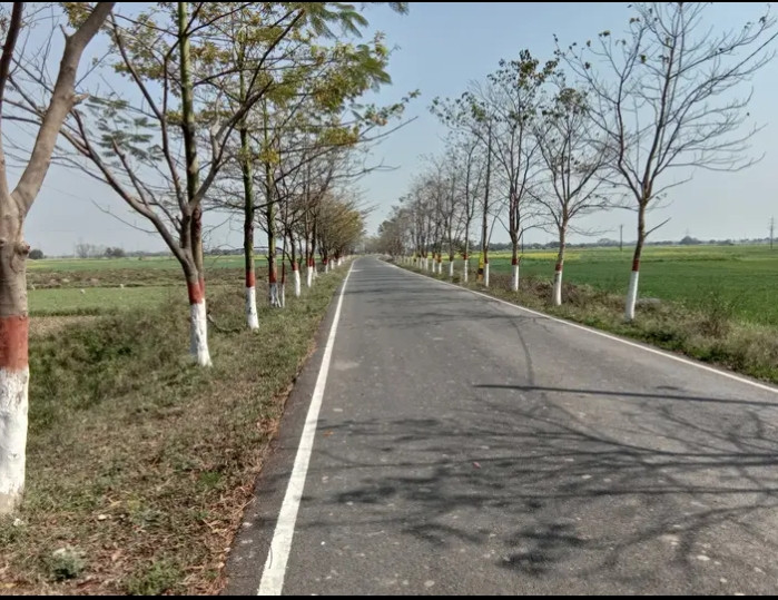 Residential Plot Available In Bihta