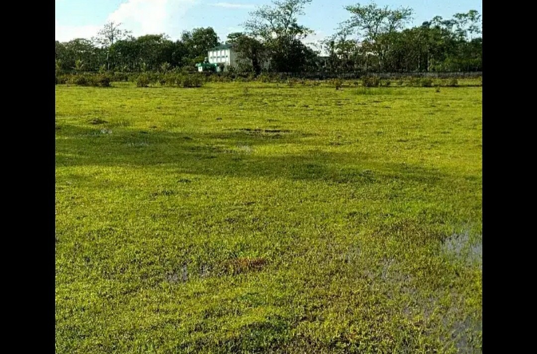 Agricultural Land Near Main Road .