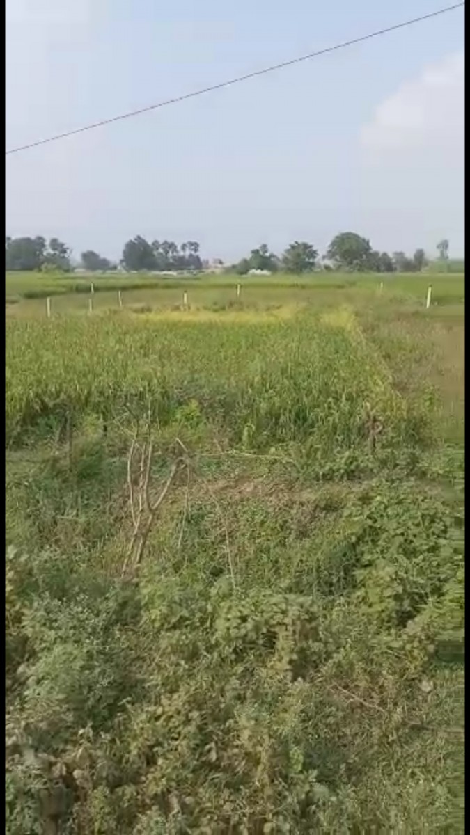 Residential Plot For Sale