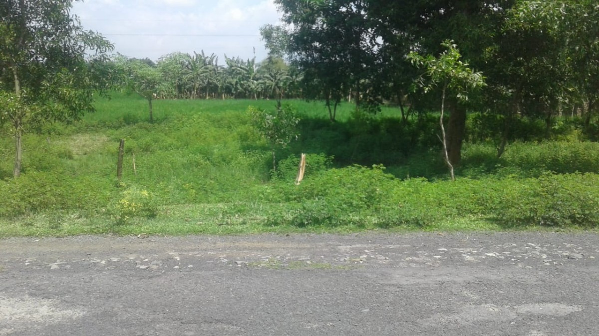 Residential And Commercial Plot On The Main Road Near Chunapur Airport, Purnia