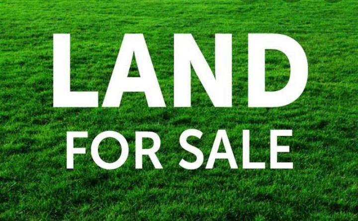 Plot For Sale